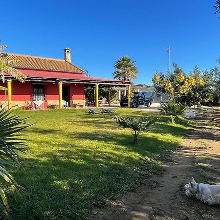 La Buganvilla, Descanso Entre Olivares Hornachuelos Esterno foto