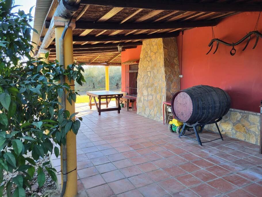 La Buganvilla, Descanso Entre Olivares Hornachuelos Esterno foto