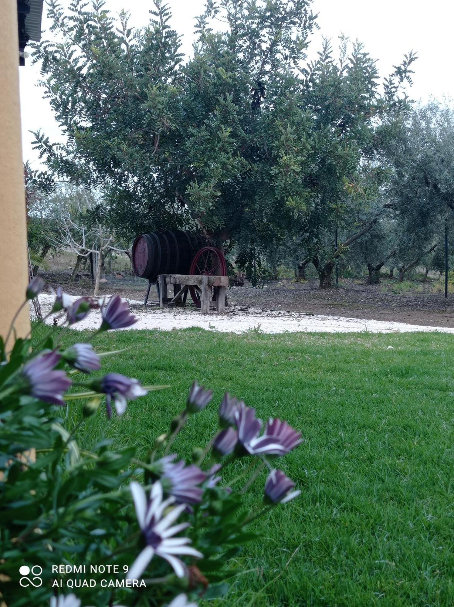 La Buganvilla, Descanso Entre Olivares Hornachuelos Esterno foto